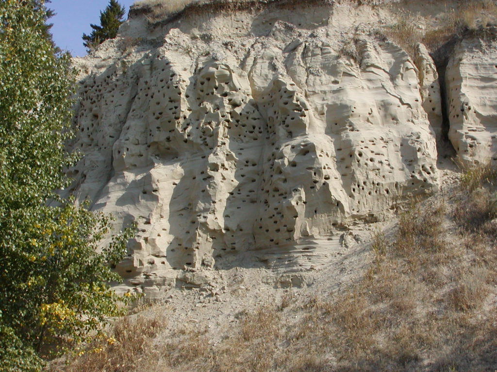 P1010012-1024x768.jpg